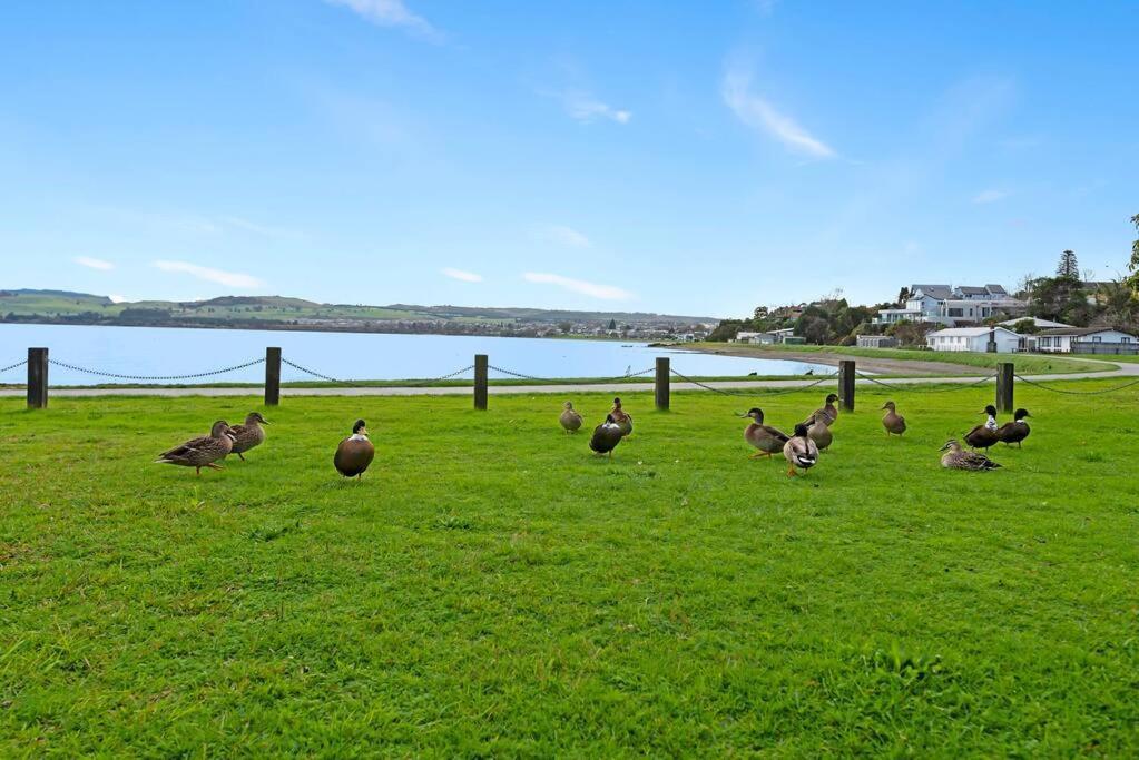 Waimahana - Luxury By The Lake Lago Lago Taupo Esterno foto